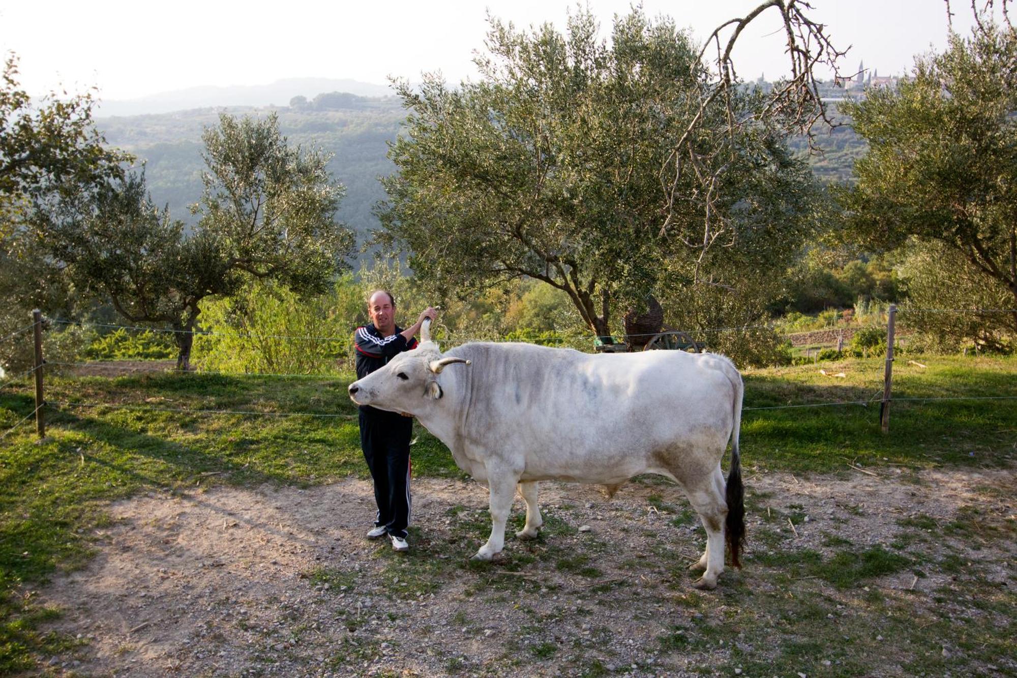 Tourist Farm Robivera Šmarje Extérieur photo